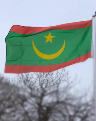 Fly Breeze 3x5 Foot Mauritania Flag photo review