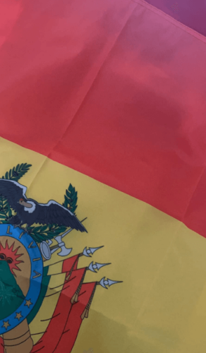 Fly Breeze 3x5 Foot Bolivia Flag photo review