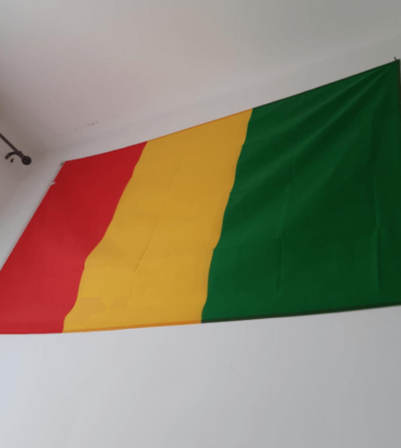 Fly Breeze 3x5 Foot Guinea Flag photo review