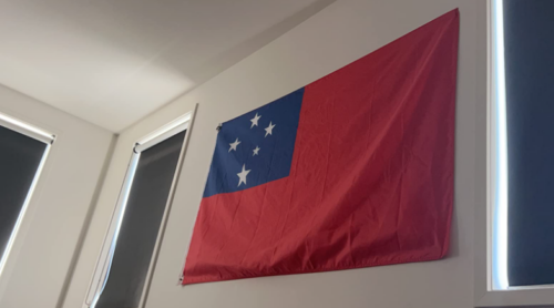 Fly Breeze 3x5 Foot Samoa Flag photo review
