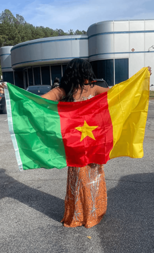 Fly Breeze 3x5 Foot Cameroun Flag photo review