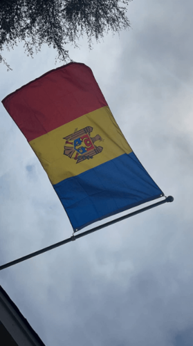 Fly Breeze 3x5 Foot Moldova Flag photo review