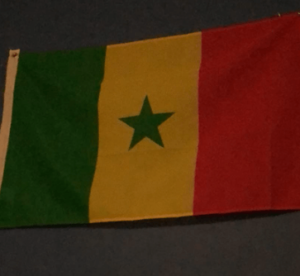 Grand Drapeau Sénégal 90x150cm - Drapeau Sénégal - par Heble