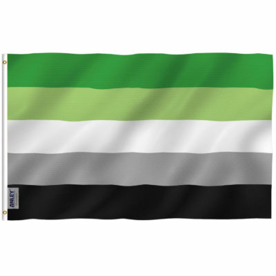 Fly Breeze 3x5 Foot Aromantic Pride Flag