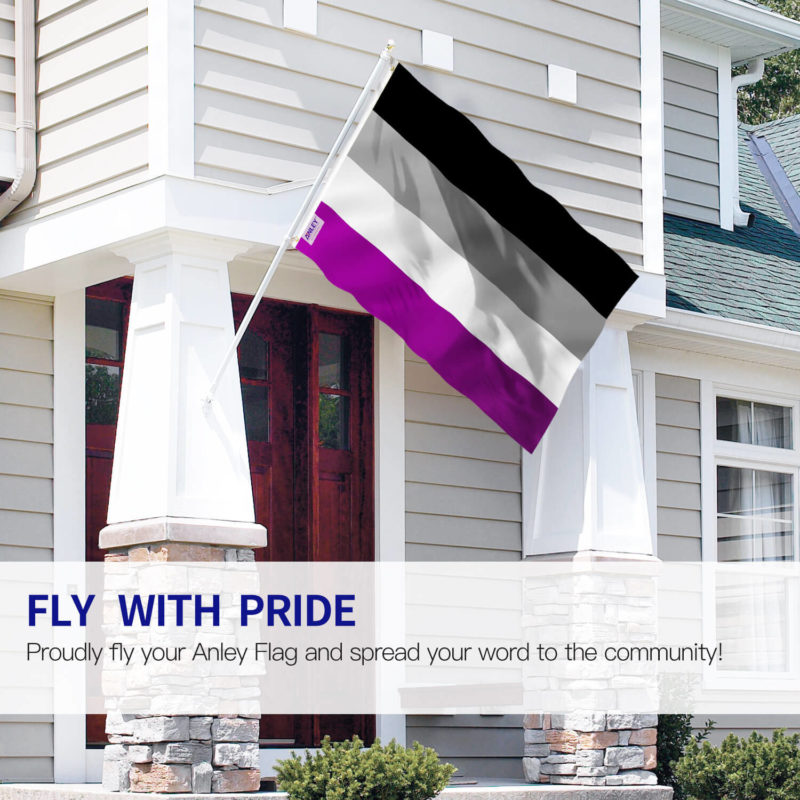 Fly Breeze 3x5 Foot Asexual Pride Flag - Image 2