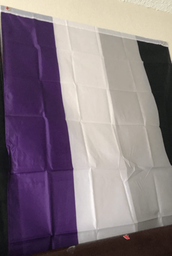 Fly Breeze 3x5 Foot Asexual Pride Flag photo review