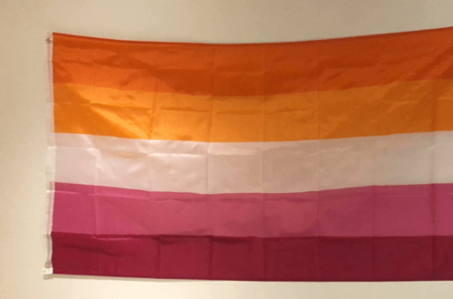 Fly Breeze 3x5 Foot Sunset Lesbian Pride Flag photo review