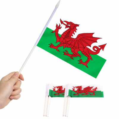 Wales Stick Flags 5x8 inch (Pack of 12)