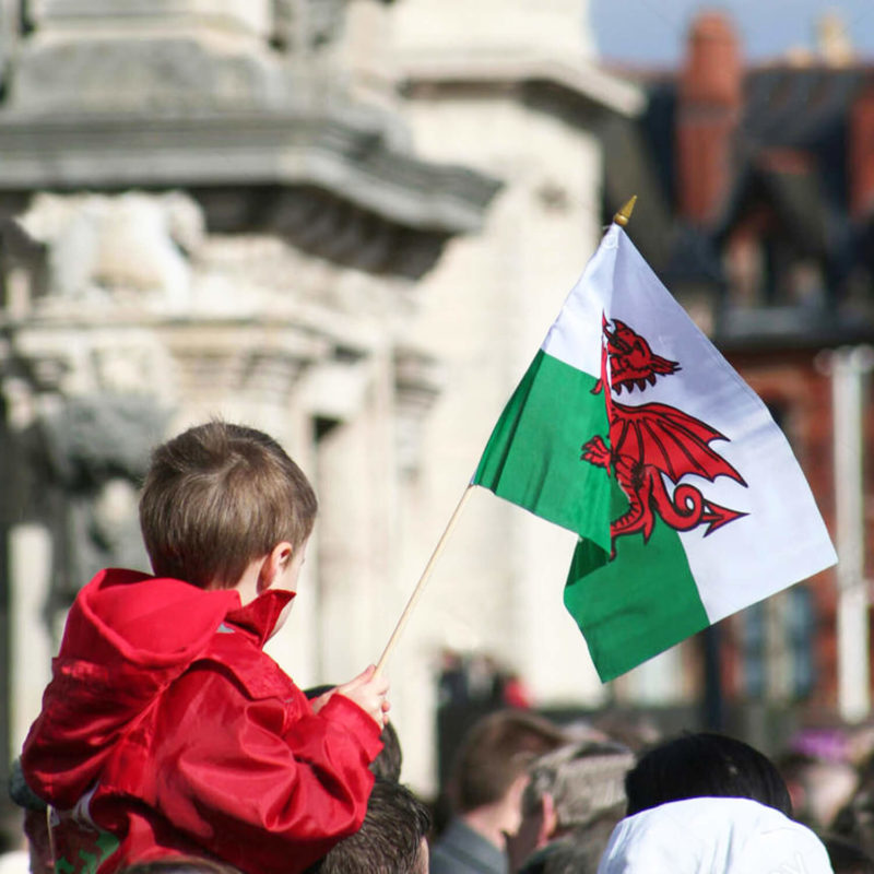 Wales Stick Flags 5x8 inch (Pack of 12) - Image 7