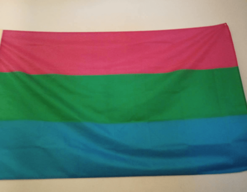 Fly Breeze 3x5 Foot PolySexual Pride Flag photo review