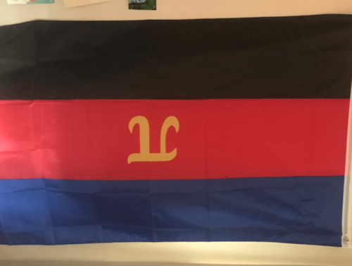 Fly Breeze 3x5 Foot Polyamory Pride Flag photo review