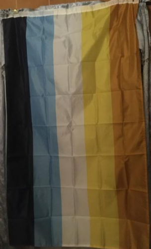 Fly Breeze 3x5 Foot Aroace Pride Flag photo review