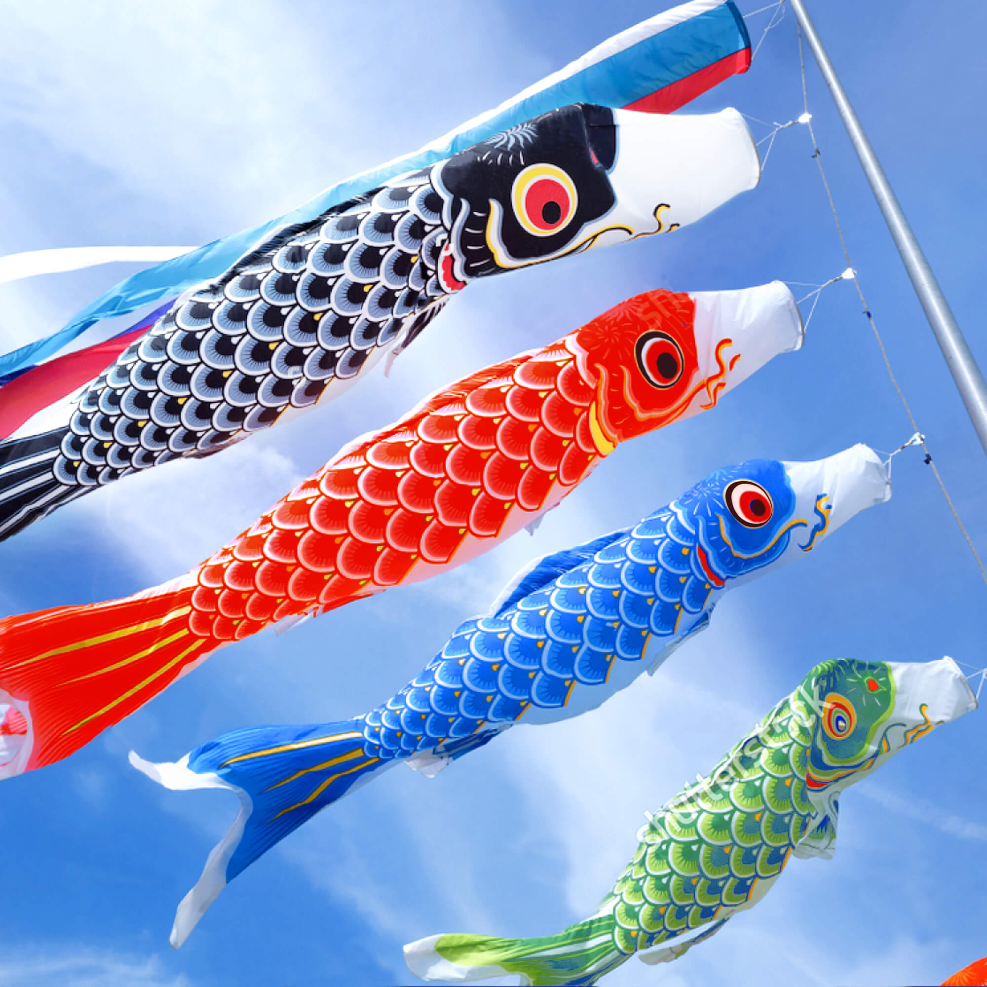 26 Inch Japan Koi Fish Flag Carp Windsock Streamer Anley, 60% OFF