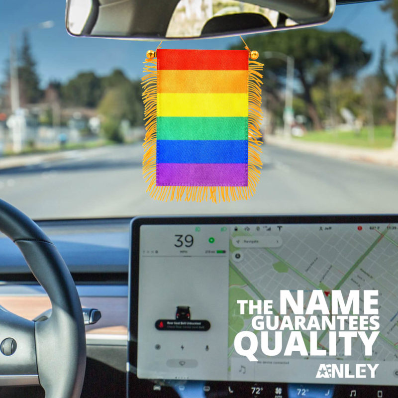 Rainbow Fringy Window Hanging Flag 4 X 6 Inch - Image 7