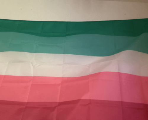 Fly Breeze 3x5 Foot Abrosexual Pride Flag photo review