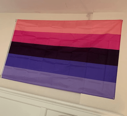 Fly Breeze 3x5 Foot Omnisexual Pride Flag photo review