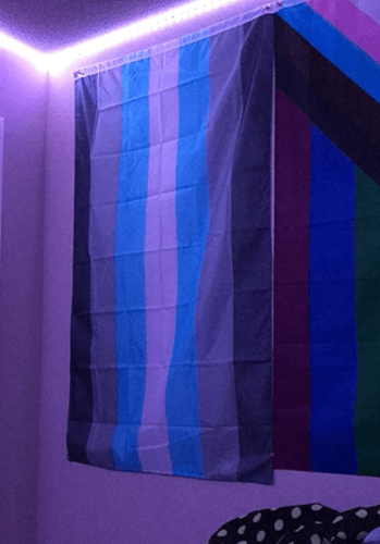Fly Breeze 3x5 Foot Demiboy Pride Flag photo review