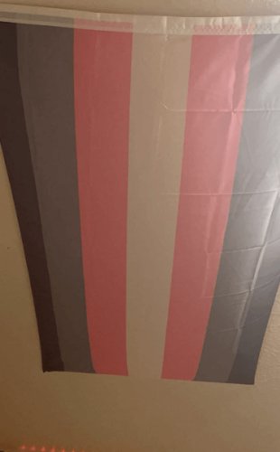 Fly Breeze 3x5 Foot Demigirl Pride Flag photo review