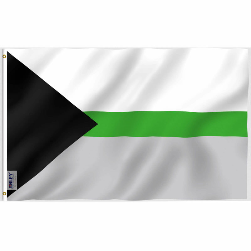 Fly Breeze 3x5 Foot Demiromantic Pride Flag