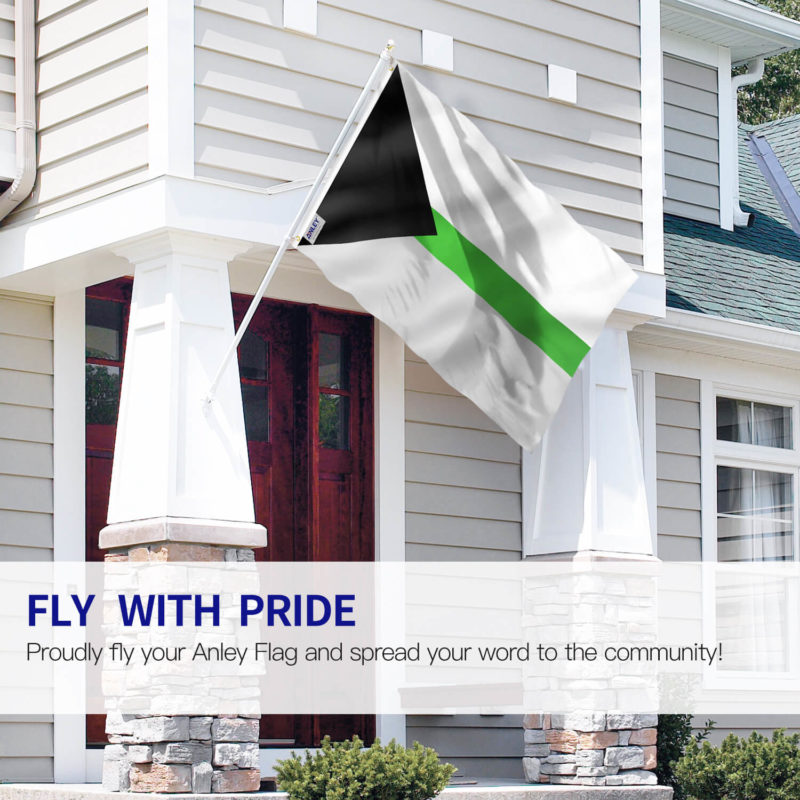 Fly Breeze 3x5 Foot Demiromantic Pride Flag - Image 2