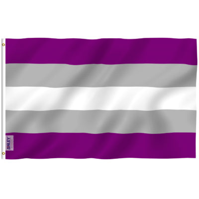Fly Breeze 3x5 Foot Greysexual Pride Flag