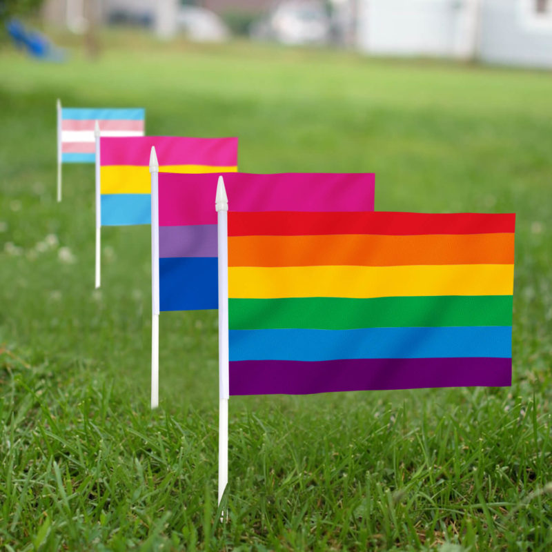 LGBT+ Assorted Stick Flags 5x8 inch (Pack of 12) - Image 3