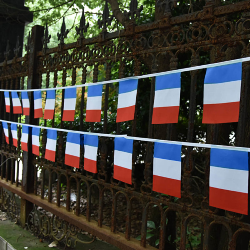 France String Flags - Anley Flags
