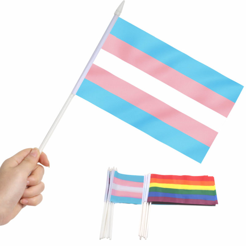LGBT+ Assorted Stick Flags 5x8 inch (Pack of 12) - Image 6