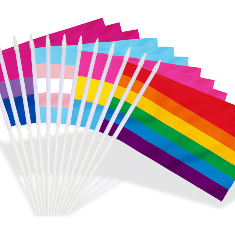 LGBT+ Assorted Stick Flags 5x8 inch (Pack of 12)