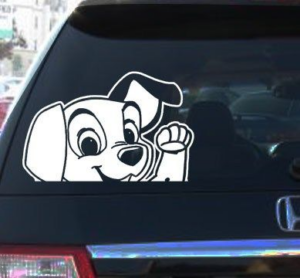 Custom Car Decals photo review