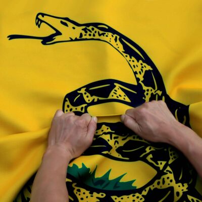 Don't Tread On Me Gadsden Flag