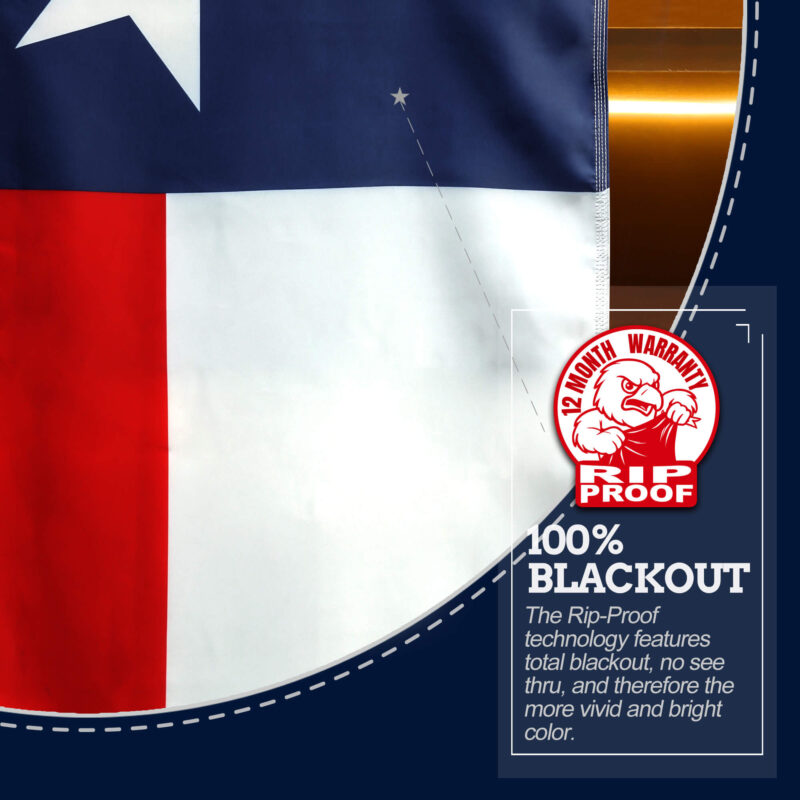 Texas State Flag