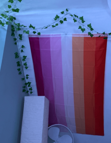 Fly Breeze 3x5 foot Sunset Lesbian Pride Flag photo review