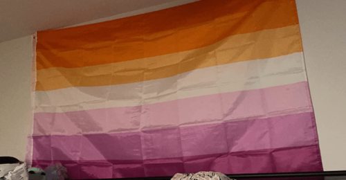 Fly Breeze 3x5 foot Sunset Lesbian Pride Flag photo review