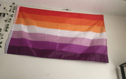 Fly Breeze 3x5 foot Sunset Lesbian Pride Flag photo review