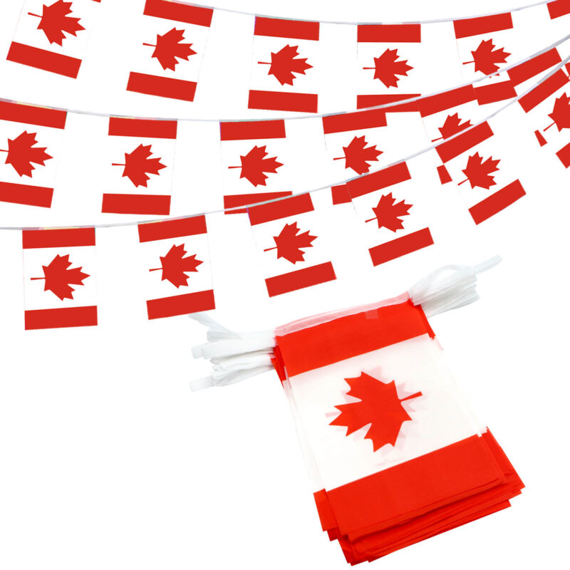 Canada String Flags Pennant Banners 33 Feet 38 Flags (5.5x8 Inch)