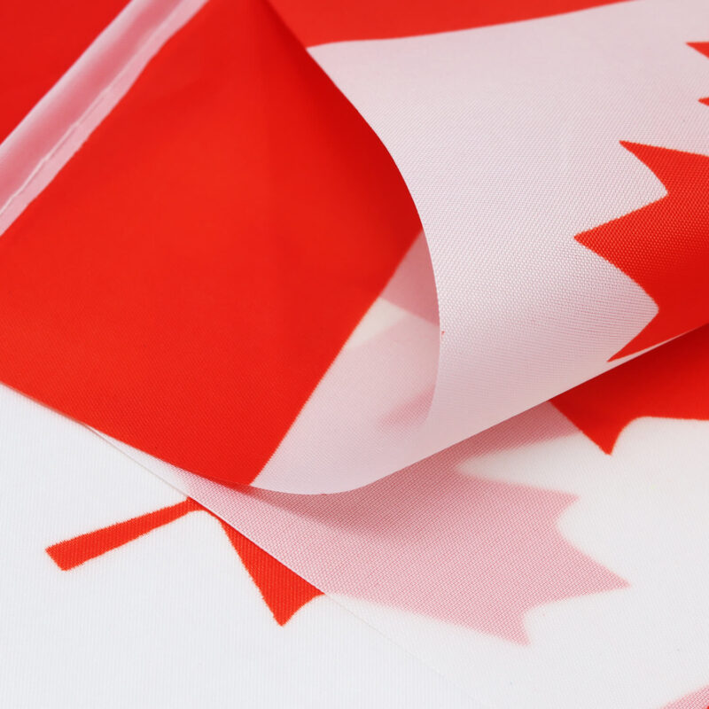 Canada String Flags Pennant Banners 33 Feet 38 Flags (5.5x8 Inch) - Image 4