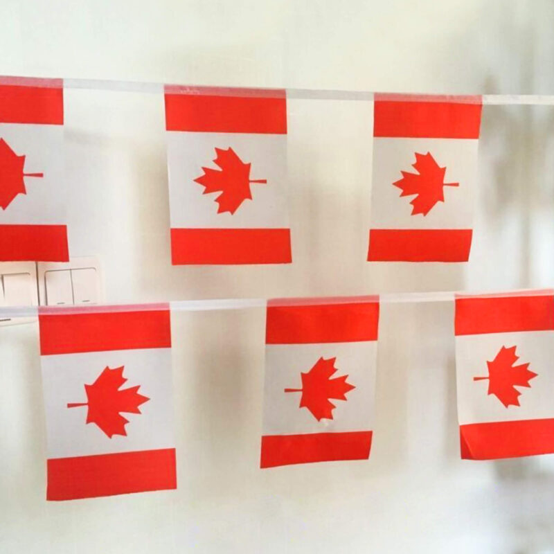 Canada String Flags Pennant Banners 33 Feet 38 Flags (5.5x8 Inch) - Image 5