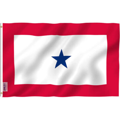Blue Star Son in Service Flag