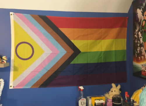 Fly Breeze 3x5 Foot LGBTQ+ New Intersex Inclusive Progress Pride Flag photo review