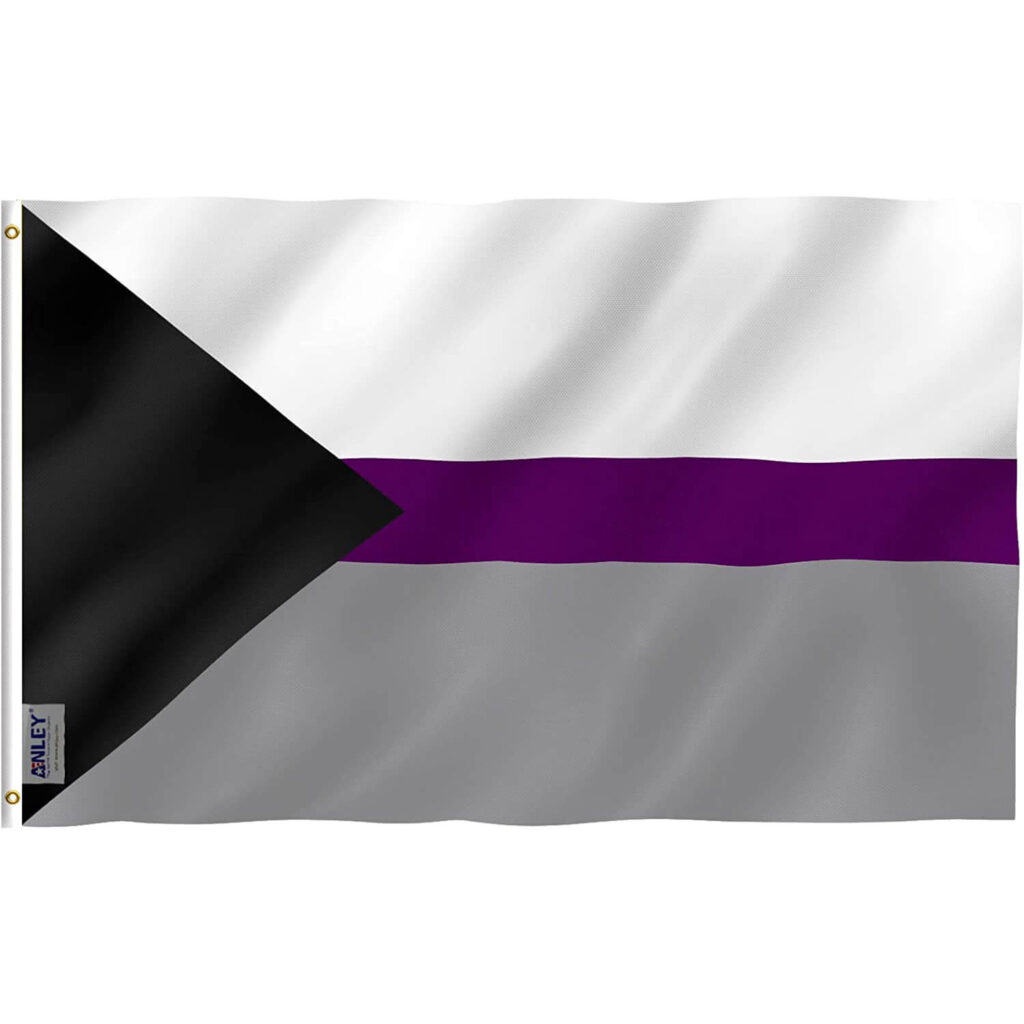 Fly Breeze 3x5 Foot Demisexual Pride Flag Anley Flags