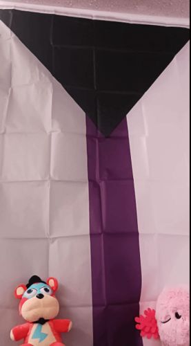 Fly Breeze 3x5 Foot Demisexual Pride Flag photo review