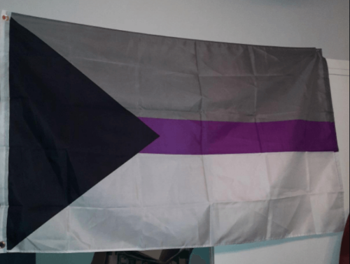 Fly Breeze 3x5 Foot Demisexual Pride Flag photo review