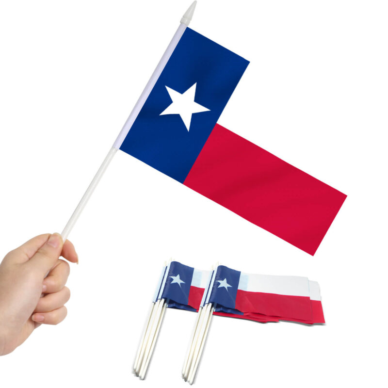 Texas State Stick Flag