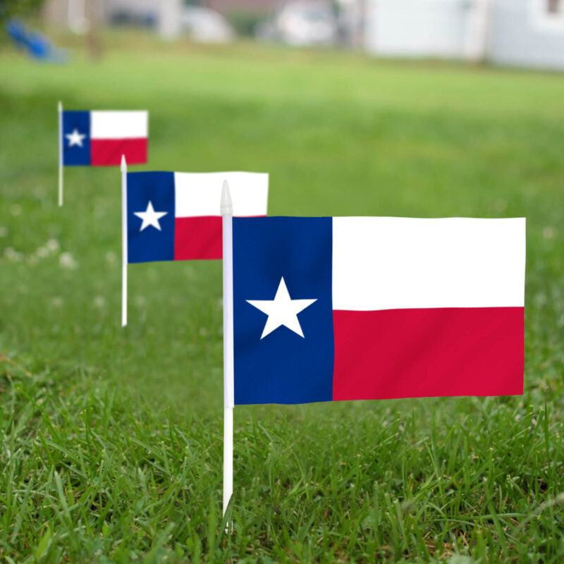 Texas State Stick Flag