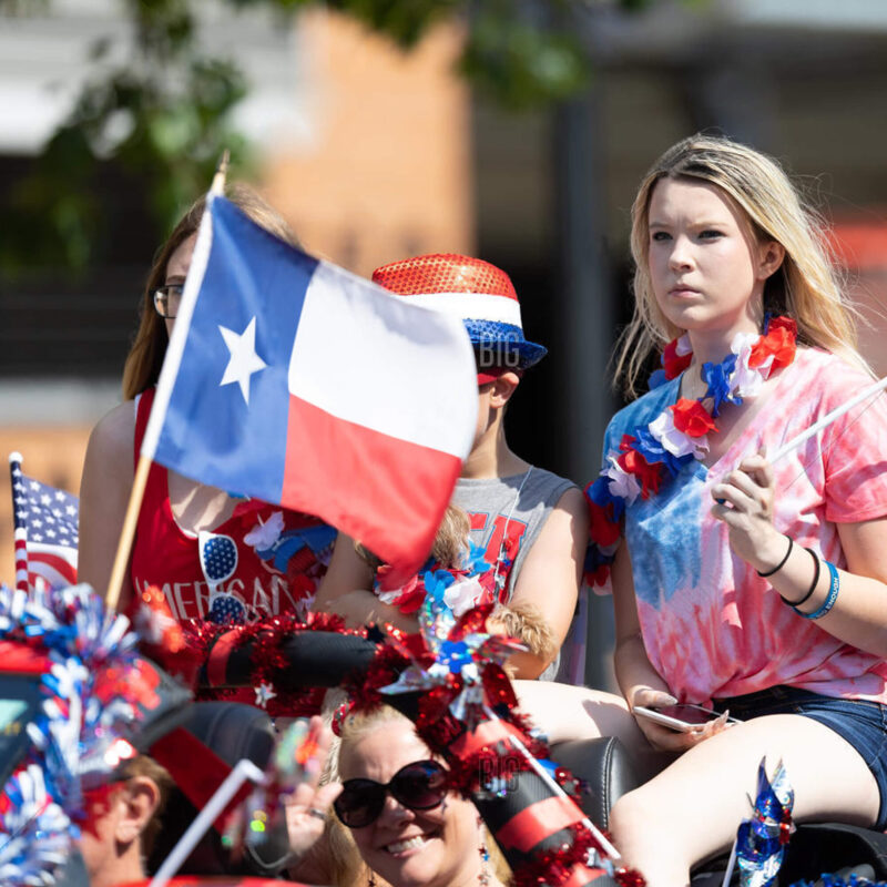 Texas State Stick Flag