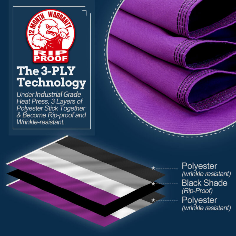 Asexual Pride Flag