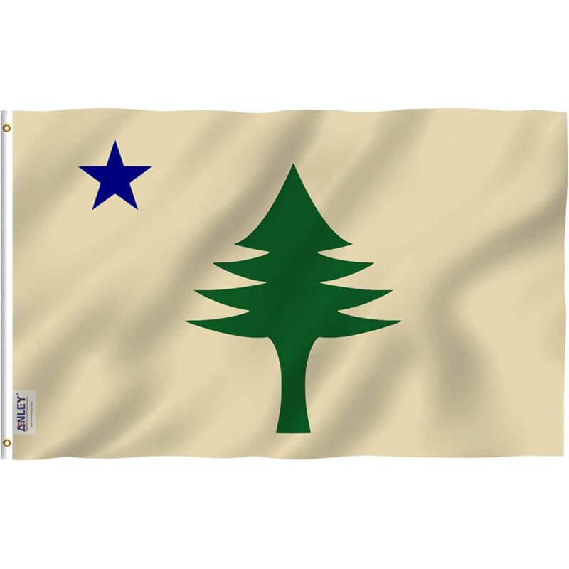 Fly Breeze 3x5 Foot Maine State Flag