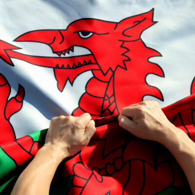 Rip-Proof Technology Double Sided 3-Ply Wales Flag 3×5 Foot
