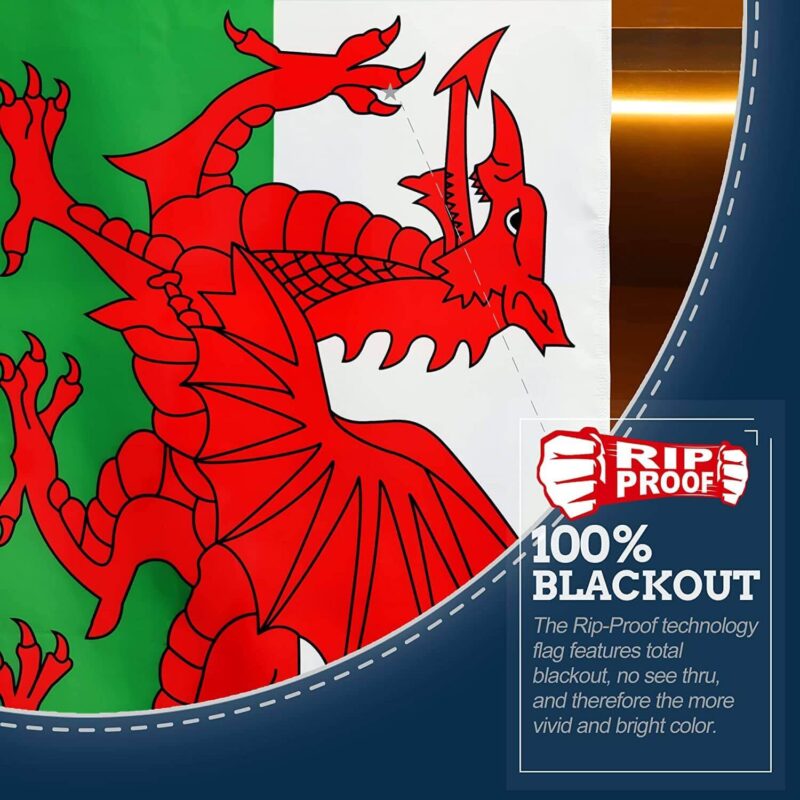 Rip-Proof Technology Double Sided 3-Ply Wales Flag 3×5 Foot - Image 4